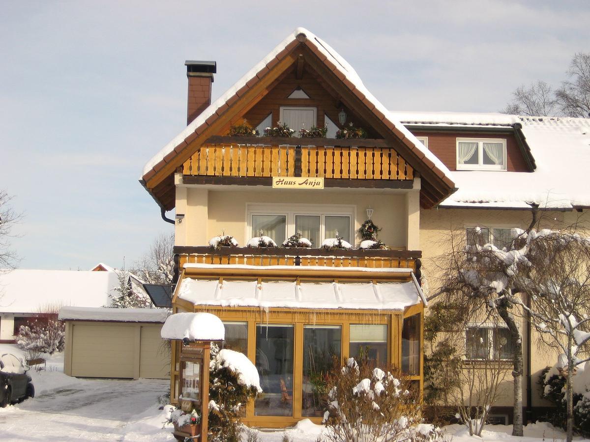 Haus Anja Apartment ทิทิเซ-นอยชตัดท์ ภายนอก รูปภาพ